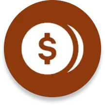 Money Icon